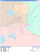 San Angelo  Wall Map Color Cast Style